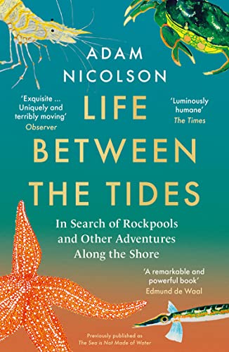 Life Between the Tides: In Search of Rockpools and Other Adventures Along the Shore 