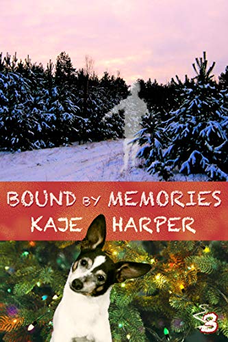 Bound by Memories (Necromancer Book 3)