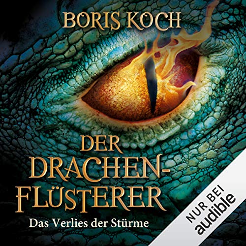 Das Verlies der Stürme: Die Drachenflüsterer-Saga 3