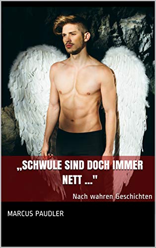 „Schwule sind doch immer nett ...": Nach wahren Geschichten (Julians abenteuerliche Reise 1)