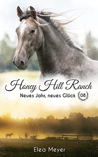Honey Hill Ranch 08: Neues Jahr, neues Glück