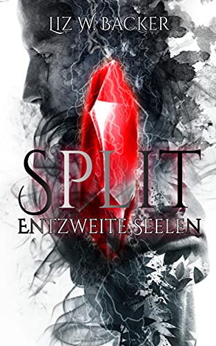 Split: Entzweite Seelen
