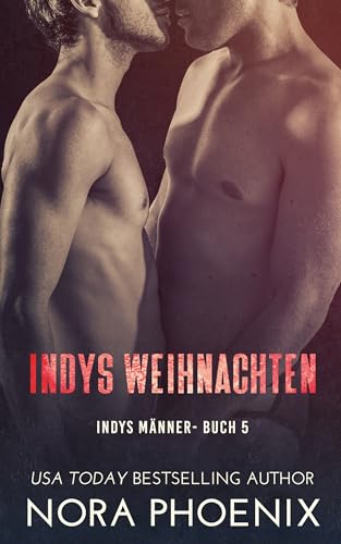 Indys Weihnachten (Indys Männer 5)