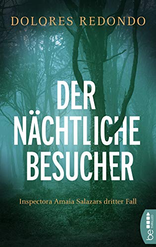 Der nächtliche Besucher: Inspectora Amaia Salazars dritter Fall (Die Baztán-Trilogie 3)
