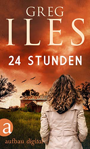 24 Stunden (Greg Iles Bestseller Thriller 2)