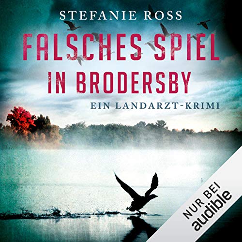Falsches Spiel in Brodersby. Ein Landarzt-Krimi: Jan Storm 4
