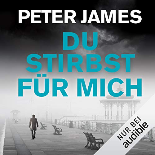 Du stirbst für mich: Roy Grace 13