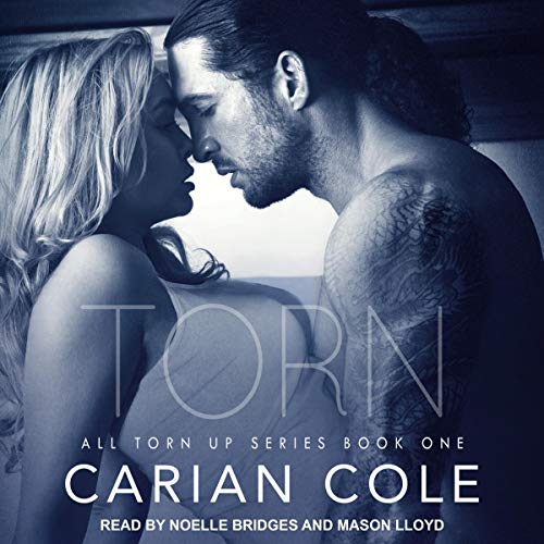 Torn (Devil's Wolves, Band 1)