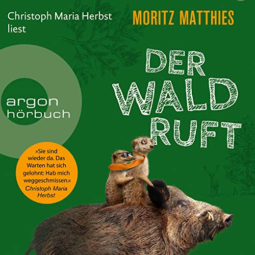 Der Wald ruft: Ray und Rufus 6