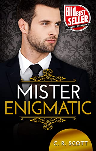 Mister Enigmatic (The Misters)