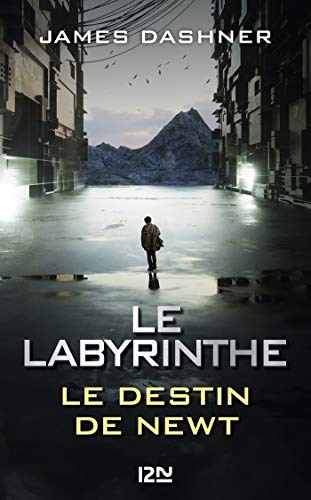 Le Labyrinthe : Le destin de Newt (French Edition)