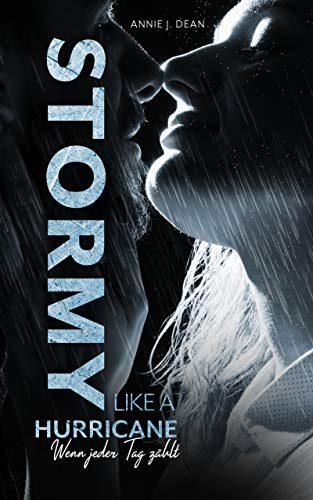 Stormy Like A Hurricane: Wenn jeder Tag zählt (Dark Heroes Reihe 1)