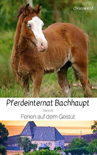 Ferien auf dem Gestüt (Pferdeinternat Bachhaupt, Band 8)