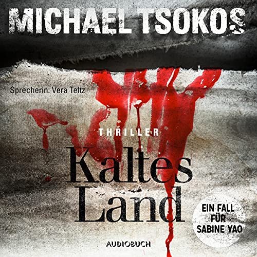 Kaltes Land: Ein Fall für Sabine Yao