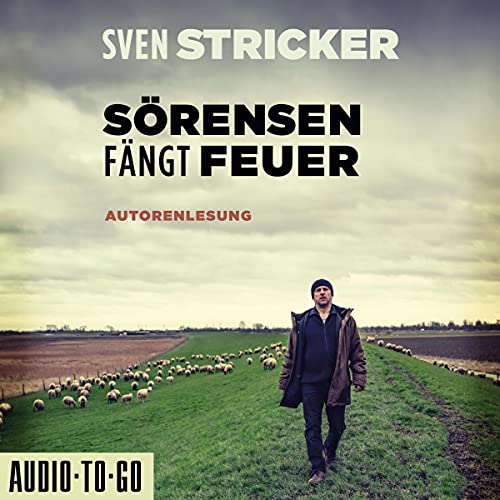 Sörensen fängt Feuer: Sörensen ermittelt 2