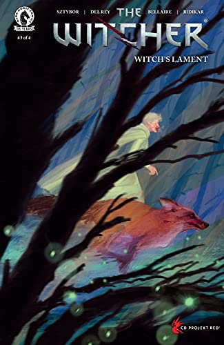 The Witcher: Witch's Lament #3