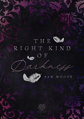 The right kind of Darkness (Dark Romance)