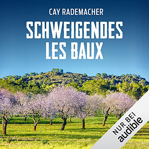 Schweigendes Les Baux. Ein Provence-Krimi: Capitaine Roger Blanc 8