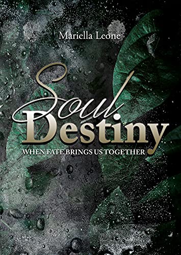 Soul Destiny : When fate brings us together
