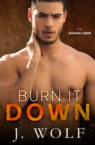 Burn it Down: A High School Enemies-to-lovers Romance (The Savage Crew, Band 3)