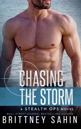 Chasing the Storm (Stealth Ops, Band 10)