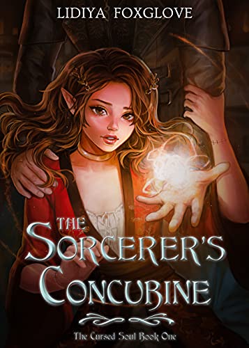 The Sorcerer's Concubine (The Cursed Soul Book 1)
