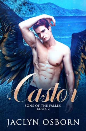Castor (Sons of the Fallen, Band 2)