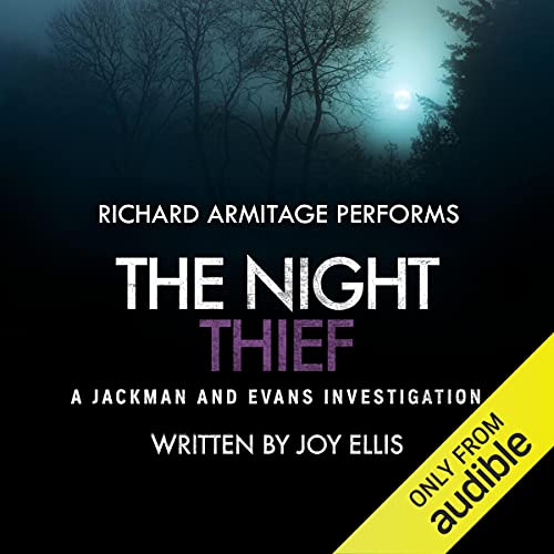 The Night Thief: Jackman and Evans Book 8