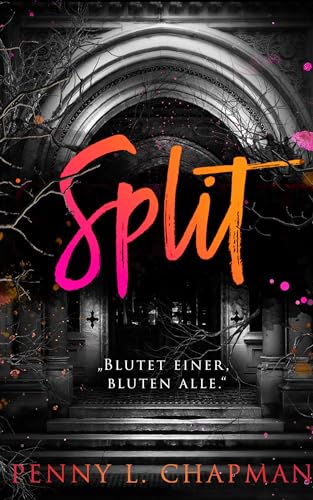 Split: Eine Unfolding / Rebels Novelle ( Rebels of St. Cilline 1,5 )