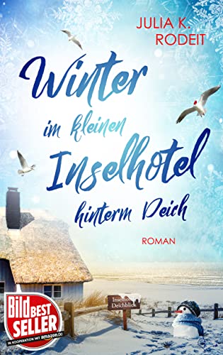 Winter im kleinen Inselhotel hinterm Deich (Inselträume auf Amrum 2)