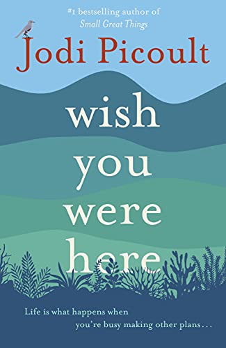 Wish You Were Here: a completely gripping, unputdownable novel from bestselling author of Mad Honey