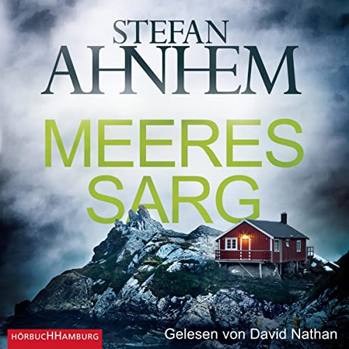 Meeressarg: Ein Fabian-Risk-Krimi 6
