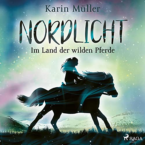 Im Land der wilden Pferde: Nordlicht 1