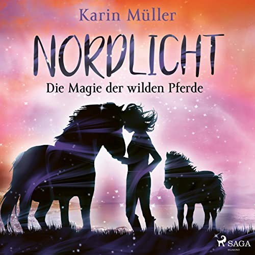 Die Magie der wilden Pferde: Nordlicht 3