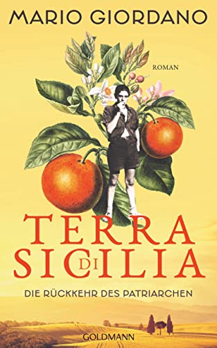 Terra di Sicilia. Die Rückkehr des Patriarchen: Roman (Die Carbonaro-Saga 1)