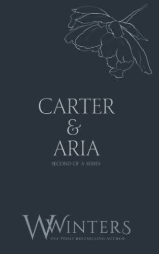 Carter & Aria: Heartless (Discreet Series, Band 32)