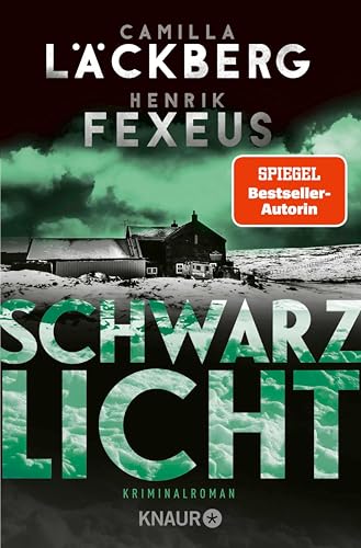 Schwarzlicht: Kriminalroman | Der Bestseller aus Schweden (Die Dabiri-Walder-Trilogie 1)