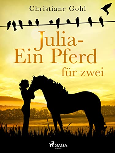 Julia – Ein Pferd für zwei (Julia Reihe 12)