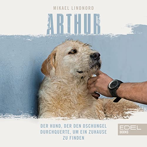 Arthur: Der Hund, der den Dschungel durchquerte, um ein Zuhause zu finden