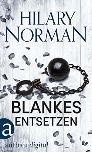 Blankes Entsetzen (Hilary Norman Thriller 7)