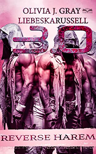 Liebeskarussell 3.0: REVERSE HAREM (The HUNTS & Friends 4)