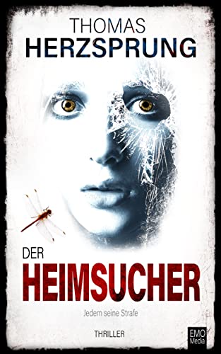 Der Heimsucher – Jedem seine Strafe: Thriller (Bachmann und Klawitter)