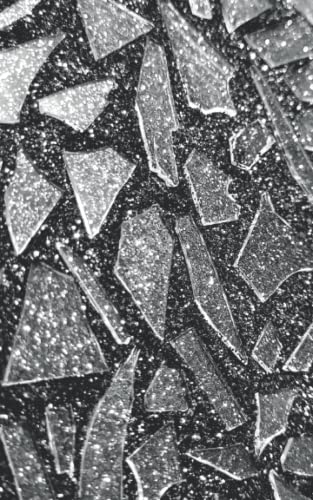 All the Shattered Pieces