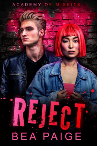 Reject: A Reform School Reverse Harem Romance (Academy of Misfits, Band 2)