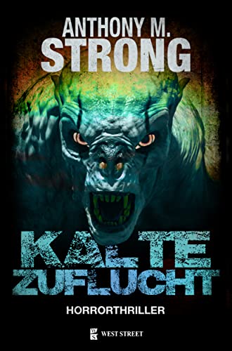 Kalte Zuflucht (John Decker 2)