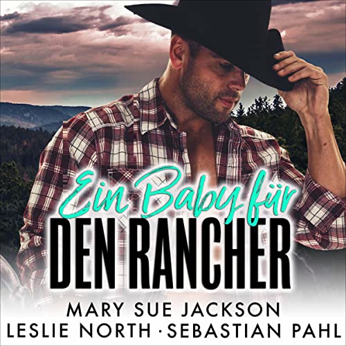 Ein Baby für den Rancher