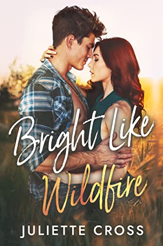 Bright Like Wildfire: An Enemies to Lovers Small Town Romance (Beauville Book 1)