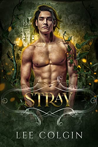 Stray: MM Paranormal Fantasy Romance (Outcast Mates)