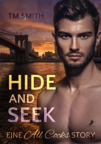 Hide and Seek: Eine All Cocks Story (All Cocks Storys 6)