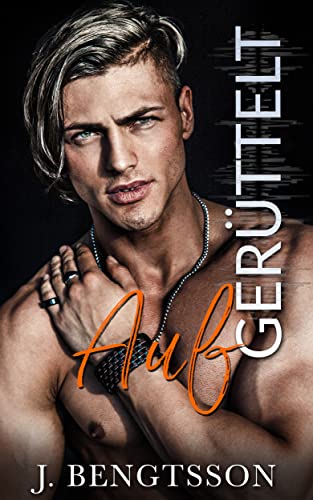 Aufgerüttelt (Die Disaster Love Serie 2)